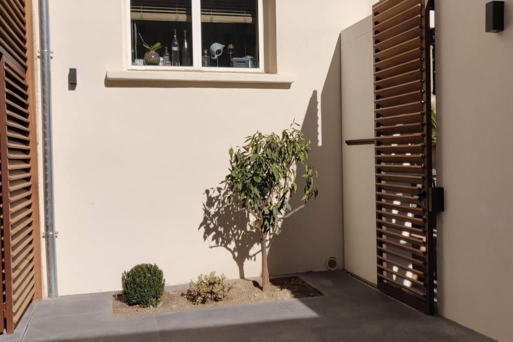 La Maison De Colette - Coeur De Village Cuxac-d'Aude Экстерьер фото